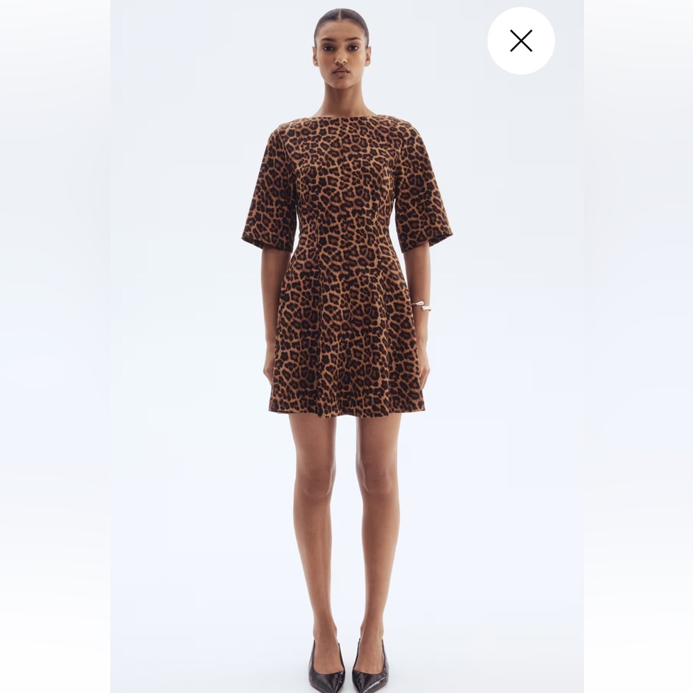 H&M Brown Leopard Print Mini Dress